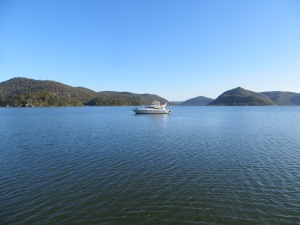 Our neighbours on the Hawkesbury